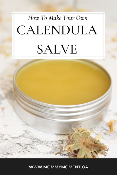 Marigold Salve, Sleep Salve, Natural Medicine Recipes, Calendula Salve, Salve Recipes, Allergy Remedies, Healing Salves, Diy Skincare, Natural Remedy