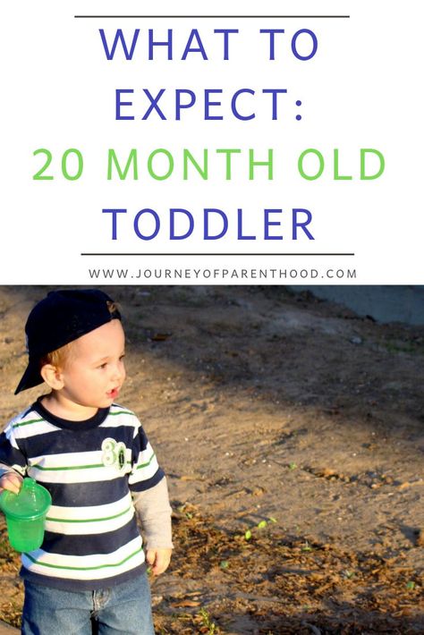 What to expect with a 20 month old toddler boy - toddler development and milestones in the first year of life. #toddler #20monthsold #toddlerdevelopment 20 Month Old Milestones, Toddler Milestones, Development Milestones, Monthly Pictures, Old Dress, Developmental Milestones, Toddler Development, Girl Toddler, Toddler Learning Activities