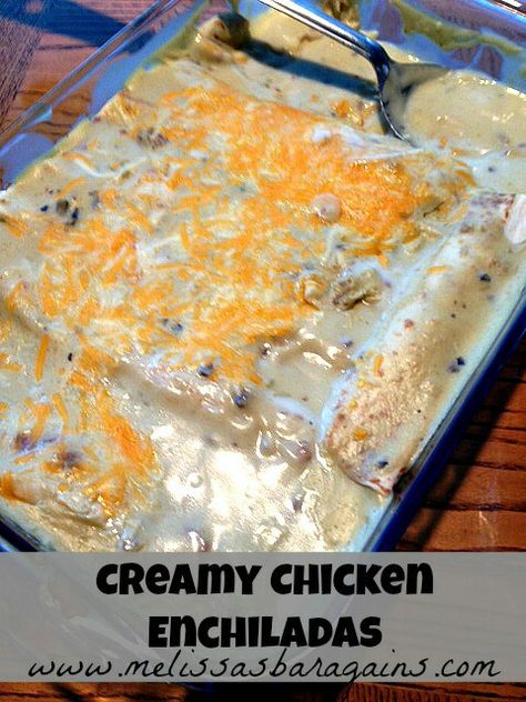 Traditional Enchiladas, Creamy Enchiladas, Creamy Chicken Enchiladas Recipe, Recipes Tacos, Easy Enchilada Recipe, Cream Of Mushroom Chicken, Chicken Enchiladas Recipe, Chicken Recipes For Kids, Creamy Chicken Enchiladas