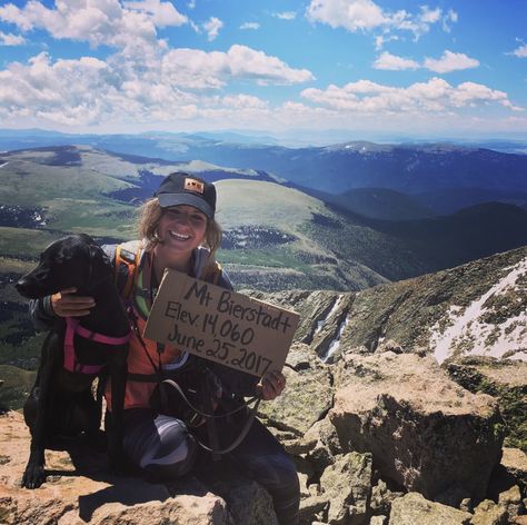 Dog friendly colorado 14ers 14ers Colorado, Hiking Together, Hikes Near Denver, Colorado 14ers, Mount Elbert, Explore Colorado, Alpine Meadow, Colorado Hiking, Dog Safety