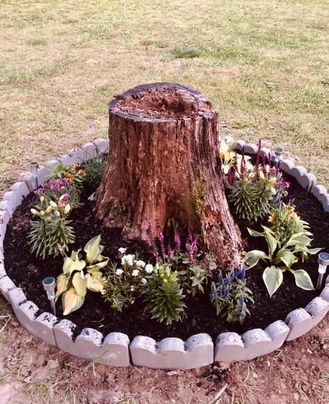 Using Fallen Trees In Landscaping, Yard Decor Around A Tree, Decorating Stumps In Yard, Garden Around Tree Stump, Backyard Stump Ideas, Old Stump Ideas Front Yards, Garden Tree Stump Ideas, Landscaping Around Tree Stumps, Bottom Of Tree Landscape