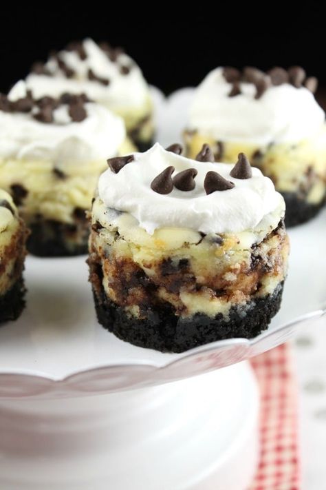 Mini Chocolate Chip Cheesecakes Biscotti Cheesecake, Mini Cheesecake Recipes, Cheesecake Mini, Chocolate Chip Cheesecake, Mini Cheesecakes, Savoury Cake, Mini Chocolate Chips, Best Dessert Recipes, Homemade Chocolate