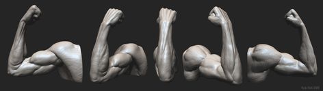 Kyle Hall anatomy study Arm Flex Pose, Arm Anatomy, Anatomy Study, Anatomy Reference, Flexing, Human Anatomy, Pose Reference, Sculptor, Social Network