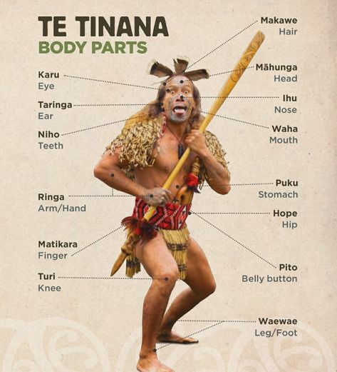 Maori Culture, Australia Fun Facts, Maori Songs, Maori Legends, Maori Symbols, Te Reo Maori Resources, Maori Words, Maori Patterns, Maori People