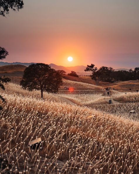 Allison Anderson, California Countryside, California Bucket List, Pinnacles National Park, California Travel Guide, Central Coast California, Nature Hikes, California Landscape, Pismo Beach