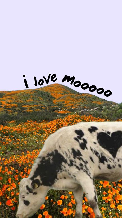 cow-valentines-ily-cute February Wallpaper, Cow Illustration, Pop Art Wallpaper, Phone Backgrounds, Art Wallpaper, Cute Wallpapers, Phone Wallpaper, Pop Art, Iphone Wallpaper