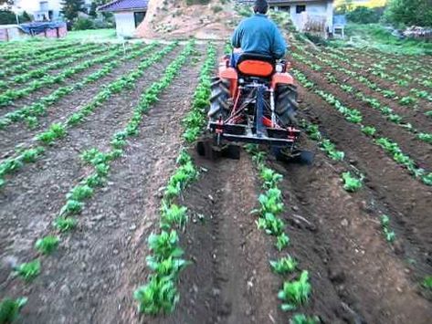 Farm Plants, Agriculture Tools, Tractor Plow, Airplane Humor, Garden Tractor Attachments, Garden Tools Diy, Agricultural Tools, Skid Steer Attachments, Modern Agriculture