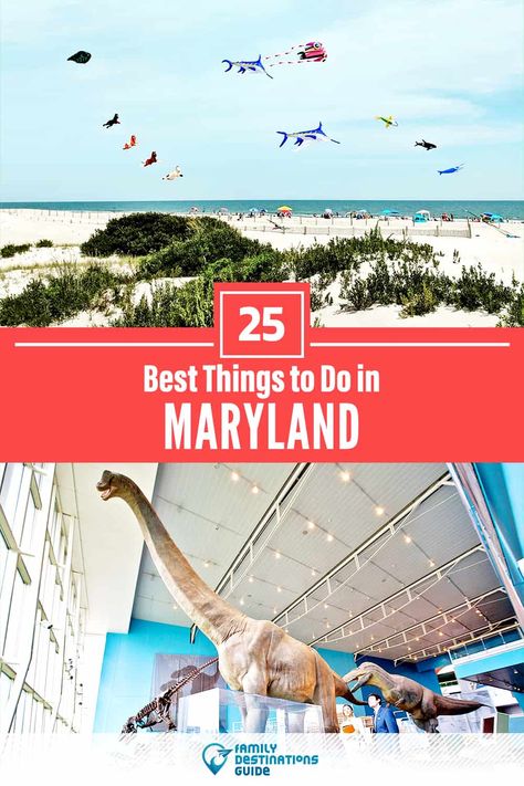 Places To Go In Maryland, What To Do In Maryland, Fun Things To Do In Maryland, Baltimore Maryland Things To Do, Hagerstown Maryland Things To Do, Things To Do In Baltimore Maryland, Maryland Coast, Places To Visit In Maryland, Things To Do In Maryland