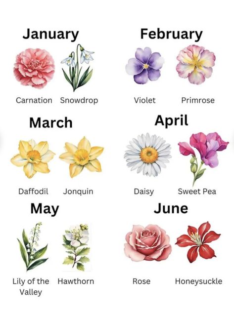 Flower February, January Flowers, Different Types Of Flowers, Month Flowers, Birth Month Flowers, Birth Month, Types Of Flowers, Flower Images, Sweet Pea