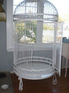 Large Birdcage Decor Ideas, Animals And Pet Supplies, Bird Cages For Sale, Antique Bird Cages, Pool Porch, Large Bird Cages, Vintage Ladder, Grey Parrot, Best Iron