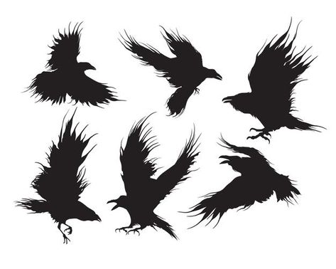 Set of ravens or black crows flying silh... | Premium Vector #Freepik #vector #bird #silhouette #crowd #crow Crows Flying, Crow Logo, Crow Flying, Crow Silhouette, Crow Tattoo Design, Eagle Silhouette, Black Bird Tattoo, Black Crows, Crow Tattoo