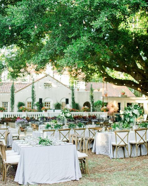 Jennifer Matteo Event Planning on Instagram: “Repost: @elizabethannedesigns 🙌🏼 Elia and Enrique's Sarasota wedding at @selbygardens was nothing short of a classic and elegant affair.…” Garden Wedding Reception Outdoor, White Wedding Flowers Centerpieces, Wedding Reception Outdoor, Event Planning Inspiration, Outdoor Backdrops, Courtyard Wedding, Sarasota Wedding, Romantic Wedding Receptions, Sf Wedding