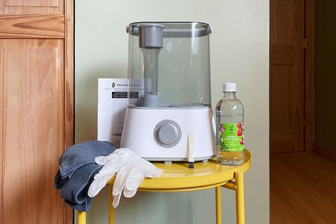 How to Clean a Humidifier, According to Experts Cleaning Humidifier, Itchy Skin Rash, How To Clean Humidifier, Portable Humidifier, Winter Survival, Itchy Eyes, Cleaning Schedule, Hard Water, A Shelf