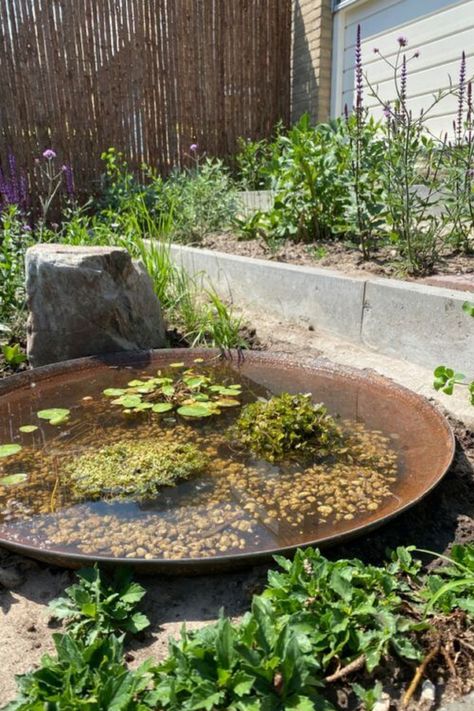 These 20 DIY Mini Water Pond Containers will give your backyard a new look! Mini Backyard, Mini Pond, Small Urban Garden, Small Backyard Design Ideas, Backyard Design Ideas, Beautiful Terrariums, Diy Pond, Backyard Water Feature, Small Fountains