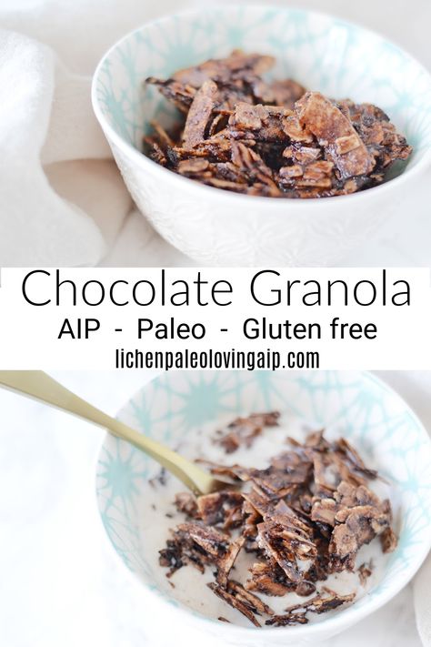 Chocolate Granola * Lichen Paleo, Loving AIP Aip Snacks, Aip Treats, Aip Snack, Aip Breakfast, Toasted Coconut Chips, Autoimmune Recipes, Real Food Snacks, Paleo Granola, Autoimmune Paleo Recipes