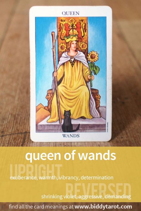 Queen of Wands #tarotcardmeaning learn more at https://www.biddytarot.com/tarot-card-meanings/minor-arcana/suit-of-wands/queen-of-wands/ 6 Of Wands, 4 Of Wands, Six Of Wands, Nine Of Wands, Biddy Tarot, Knight Of Wands, King Of Wands, Learn Tarot, Pentacles Tarot