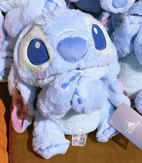 Stitch Stuff Toy, Stitch Plushies, Begging For Love, Stitch Teddy, Disney Plushies, Lilo And Stitch Toys, Stitch Stuffed Animal, Stitch Plush, Stitch Toy