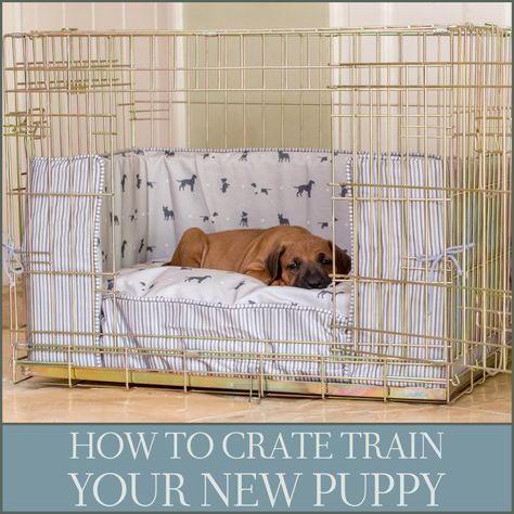 Are you expecting a nw puppy? Are you wondering whether to crate or not? We highly recommend crate training as it helps settle in nervous pets and get them into a routine more easily. Read this weeks blogvarticle and learn more about puppy crate training! Dog Crate Cover, Crate Training Puppy, Puppy Crate, Puppy Room, Crate Cover, Dog Cages, Crate Training, Animal Room, Labrador Dog