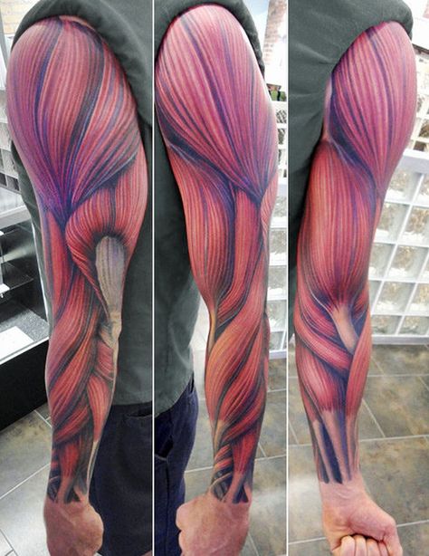 Muscle Tattoo Anatomical, Anatomical Tattoos, Male Tattoos, Colour Tattoos, Anatomy Tattoo, Tattoo Realism, Tattoo 3d, Arm Muscle, Italian Tattoos