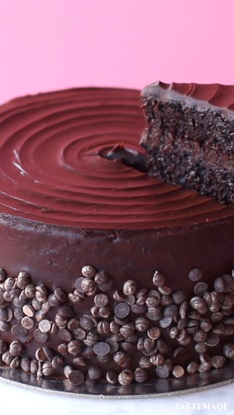 Chocolate Blackout Cake [Video] | Recipe [Video] | Chocolate cake recipe moist, Cake recipes, Chocolate dishes Almond Raspberry Cake With Amaretto Buttercream, Chocolate Masterpiece, Almond Raspberry Cake, Cake Recipe Moist, Blackout Cake, Resipi Kek, Chocolate Cake Recipe Moist, Amazing Chocolate Cake Recipe, Chocolate Dishes