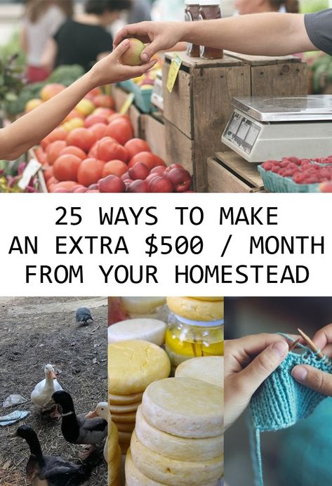 Things To Sell From Your Homestead, How To Profit From Homesteading, Farm Products To Sell, Homestead Hobbies, Agribusiness Ideas, Selling Plants, Homestead Projects, Homesteading Animals, Homestead Life