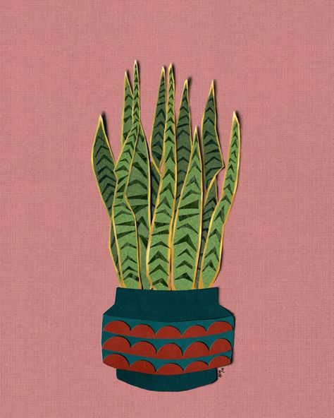 Digital illustration. Paper cut style Snake Plant, Paper Cut, Cut And Style, Digital Illustration, Paintings, Plants, Art