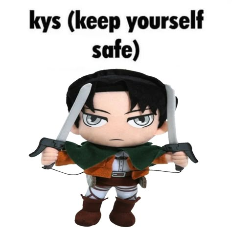 Levi Ackerman Plush, Meme Levi, Levi Memes, Attack In Titan, Levi Funny, I Got Too Silly, Aot Meme, Attack On Titan Icons, Gut Wrenching