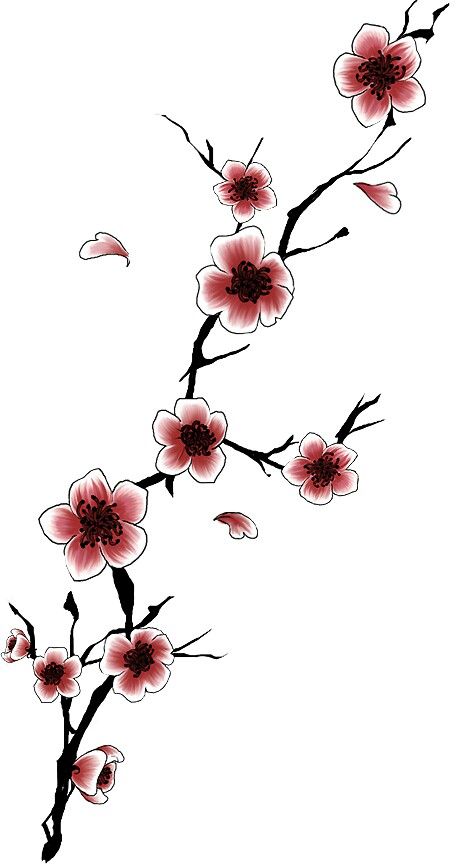 Plum blossoms Plum Blossom Flower Drawing, Plum Blossom Drawing, Plum Blossom Tattoo, Japanese Plum Blossom, Cherry Tree Tattoos, Cherry Blossom Tree Tattoo, Cherry Blossom Drawing, Tree Tattoo Back, Blossom Tree Tattoo