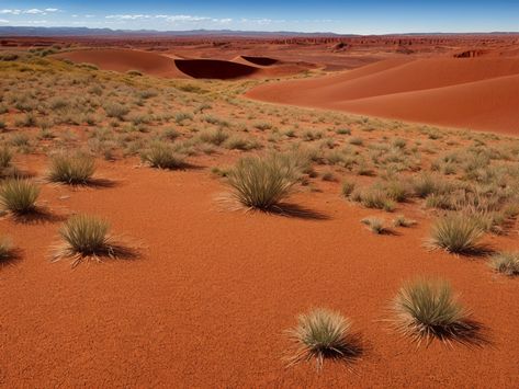 Discover Australia's Natural Beauty: Outback Desert Landscape Inspiring Landscapes, Outback Australia, Desert Landscape, Desert Landscaping, Art Class, Awe Inspiring, Natural Beauty, New Zealand, Australia