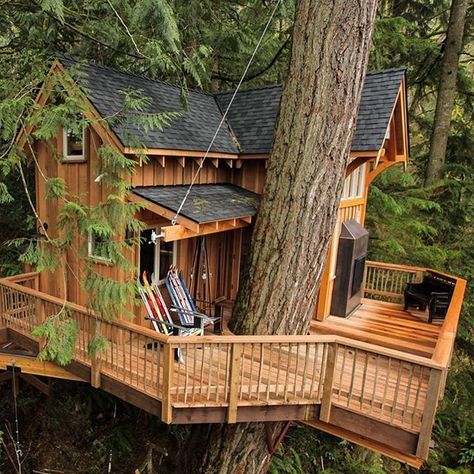 Tree House Interior, Luxury Tree Houses, Beautiful Tree Houses, Treehouse Masters, Building A Treehouse, Tree House Plans, Tree House Diy, Cool Tree Houses, Building A Tiny House