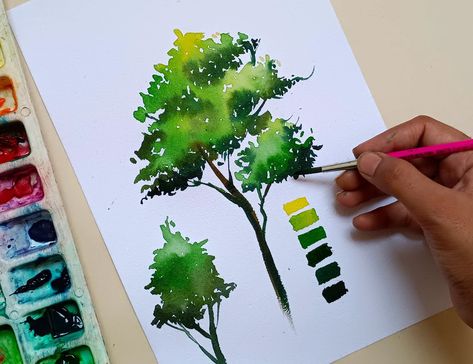 Green tree, watercolor tree , BASICS of tree from Watercolour, Chitrapat paper, Watercolor Basics Tutorials, Water Colour Tree, Making A Tree, How To Make Trees, Trees For Kids, Tree Tutorial, Basic Watercolor, Watercolor Subjects, Watercolor Tree