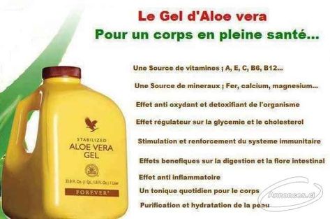 COMMENT LUTTER EFFICACEMENT CONTRE LE DIABÈTE AVEC LES PRODUITS FOREVER? - Aloe Bien-être Beauté Forever Living Business, Forever Living Aloe Vera, Forever Products, Forever Business, Forever Aloe, Forever Living, Aloe Vera Juice, Forever Living Products, Aloe Vera