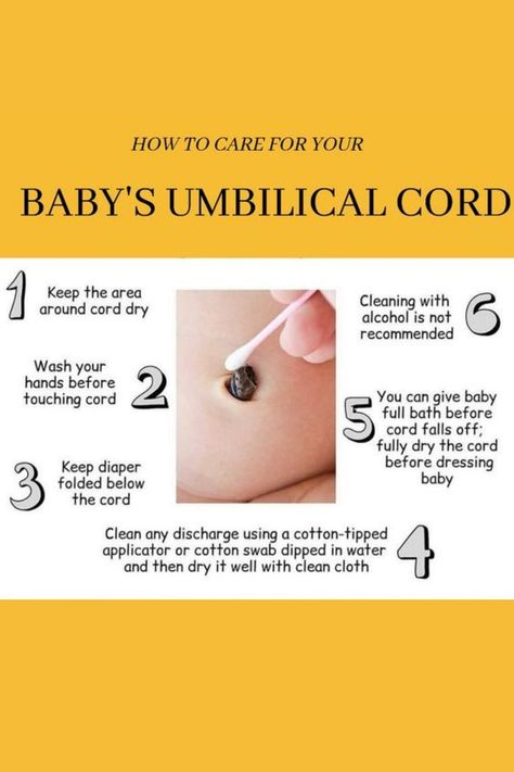 How To Bathe A Newborn With Umbilical Cord, Newborn Belly Button Care, Things To Know About Newborns, First Time Mom Tips Parenting, Baby Tips And Tricks, Newborn Baby Tips New Moms, How Often To Breastfeed By Age, Baby Hacks New Moms, Circumcision Care Newborn