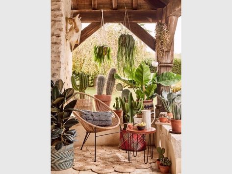 Une terrasse aux allures de patio mexicain Style Hacienda, Backyard Patio, Balcony, Cactus, Patio, Plants, Patios