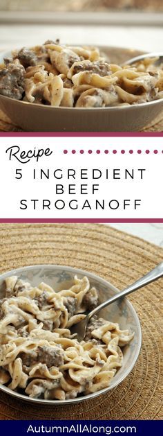 5 Ingredient Beef Stroganoff, Recipe For Beef Stroganoff, Easy Ground Beef Stroganoff, Beef Stroganoff Crockpot, Beef Stroganoff Recipe, Beef Stroganoff Easy, Ground Beef Stroganoff, Stroganoff Recipe, Beef And Noodles