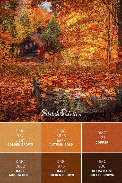 DMC thread color palette for cross stitch and embroidery projects. Floss colors used: 977 Light Golden Brown, 3853 Dark Autumn Gold, 921 Copper, 3862 Dark Mocha Beige, 975 Dark Golden Brown, 938 Ultra Dark Coffee Brown, #dmcthreads #colorpalette #colorinspiration #dmcembroidery #dmcpalette #stitchpalette Autumn Aesthetic Palette, Dark Autumn Bedroom, Autumn Palette Colors, Autumn Colors Palette, Copper Color Palette, Color Palette Autumn, Color Palette Brown, Copper Autumn, Palette Autumn