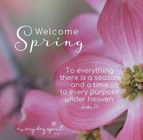 To everything there is a season. Hello Spring Quotes, Spring Bible Verses, Springtime Quotes, Happy Spring Day, Quotes From The Bible, Black Love Quotes, Spring Quotes, Spring Images, Easter Quotes