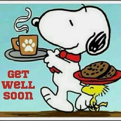 Snoopy & Woodstock:  Get Well Soon Get Well Soon Images, Get Well Soon Quotes, Snoopy Museum, Charlie Brown Quotes, Get Well Quotes, Woodstock Snoopy, Snoopy Party, Snoopy Funny, Get Well Wishes