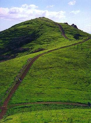 Vocabulario sustantivo #1 Cerro-  Elevación de tierra aislada y de menor altura que el monte o la montaña. Hill Sprints, Running Posters, Aldous Huxley, Runners High, Running Quotes, Running Inspiration, Functional Training, Keep Running, A Hill