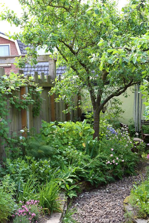 Voedselbos in je stadstuin - Stadstuinieren Cottage Garden Design, Have Inspiration, Forest Garden, City Garden, Garden Pests, Small Garden Design, Edible Garden, Back Garden, Small Gardens