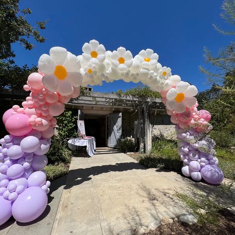 Balloon Arch with Daisies Backyard Graduation Party Ideas, Outdoor Photo Booths, Diy Backdrop Stand, Graduation Party Pictures, Hippie Birthday Party, Backyard Graduation Party, Outdoor Graduation Parties, Outdoor Graduation, Hippie Birthday