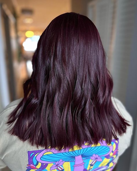 Cherry Black Hair Color, Cherry Wine Hair, Cherry Wine Hair Color, Dark Cherry Hair, Pelo Color Borgoña, Cherry Brown Hair, Pelo Color Vino, Black Cherry Hair Color, Plump Hair