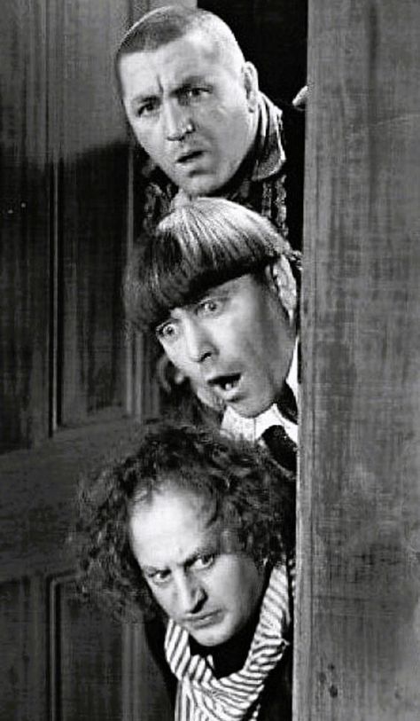 I Will Not Lose, Chasing Money, The Stooges, Three Stooges, The Three Stooges, Laurel And Hardy, Classic Comedies, Classic Television, Classic Movie Stars