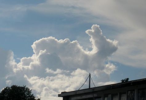 Rabbit shaped cloud, or a duck on his back? Lol. Cumulus Clouds, Cloud Shapes, Before Sunrise, Storm Clouds, The Clouds, Installation Art, Mother Nature, Cosmos, The Sky