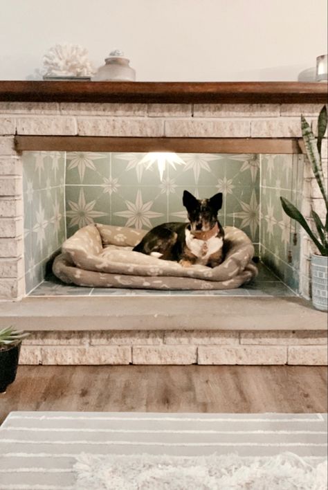 Barkitecture Ideas, Empty Fireplace Ideas, Dog Nook, Dog Room Decor, Red Brick Fireplaces, Dog Bedroom, Cutest Pets, Pet Area, Dog Area