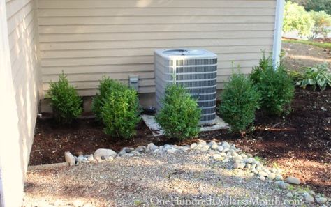 Planting Around an Air Conditioning Unit with Boxwoods Plants To Hide Air Conditioner, Plants Around Air Conditioner Unit, Air Conditioner Landscaping Ideas, Air Conditioner Landscaping, Backyard Redesign, Air Conditioner Hide, Indian Spring, Spring Backyard, Plant Herbs