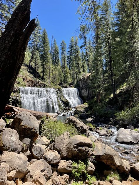 mccloud middle falls, mount shasta, norcal, waterfall, hike Waterfall Hike, Mount Shasta, California Destinations, Day Trips, Mother Nature, Cali, Hiking, California, Water