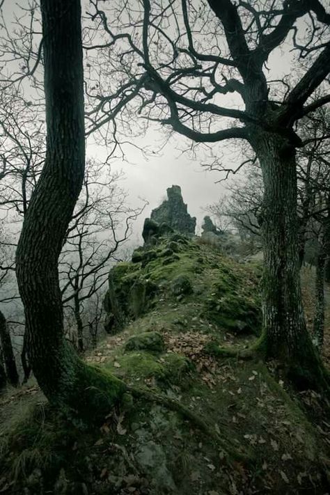 Foggy mossy Highlands Aesthetic Dark, Ethereal Mansion, Thick Forest, Dark Naturalism, Foggy Day, Moss Covered, Jaime Lannister, Image Nature, Arya Stark