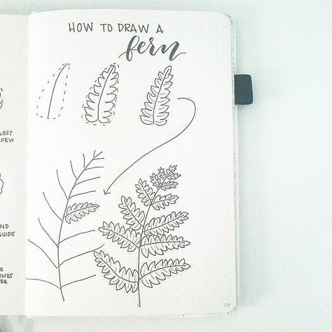 Hur Man Ritar Blommor, Botanical Line Drawing, Arte Doodle, Flower Drawing Tutorials, Flowers Drawing, Leaf Drawing, Floral Drawing, Plant Drawing, Arte Inspo