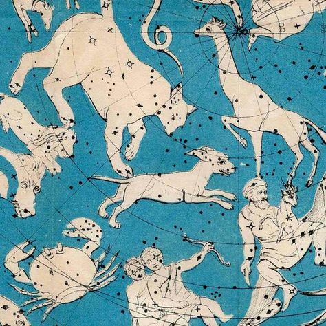 Astronomy Stars, Celestial Map, Astronomy Constellations, Constellation Map, Star Chart, Maria Montessori, Look At The Stars, The 60s, Star Print